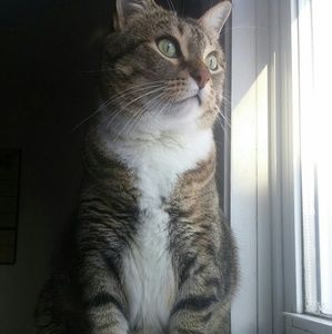 Meet your Posher, Taylor